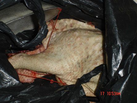 菜市场卖菜需要经营许可证吗_菜市场穿山甲贩卖事件_豪猪误贩事件