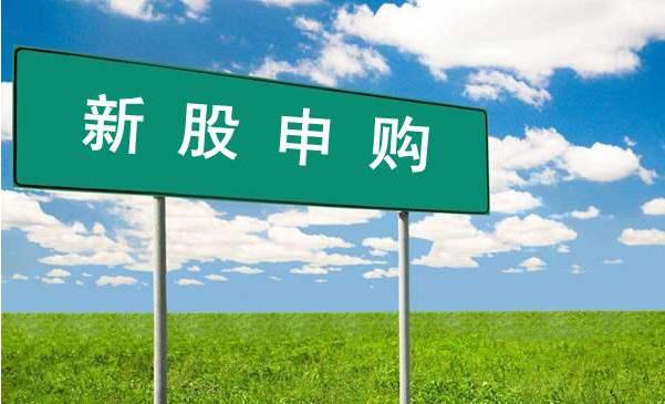 加大股票市值提高新股中签率_提升散户新股中签率的方法_打新股1000分是多少钱