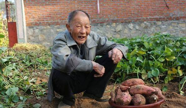 农民劳动与粮食生产_财经郎眼王福重视频_经济学家王福仲言论