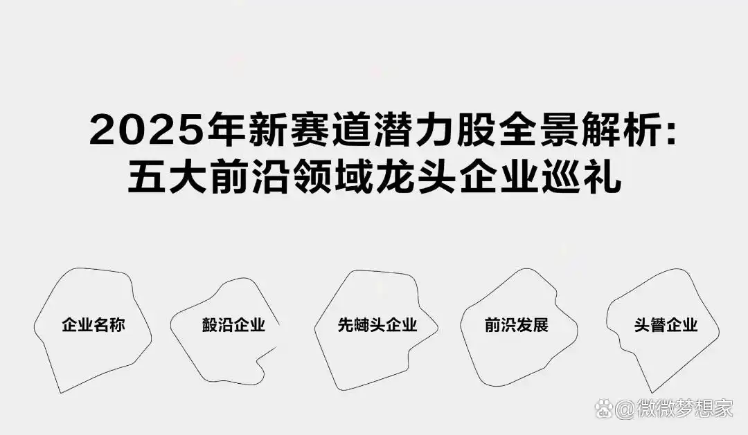 2025年新赛道潜力股_2025科技股龙头_低空经济龙头企业