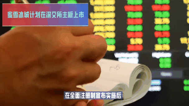 华润新能源控股IPO_深交所2025年IPO审核动态_证监会ipo审核安排