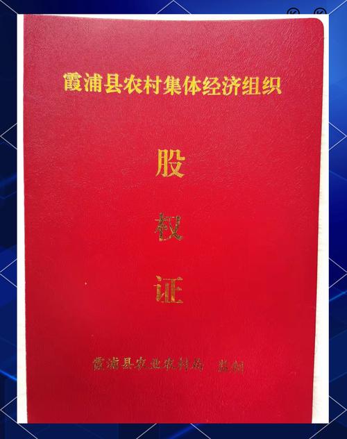 农村集体经济组织股权平台_重庆铜梁巴岳农庄股权证_美国股权证图片