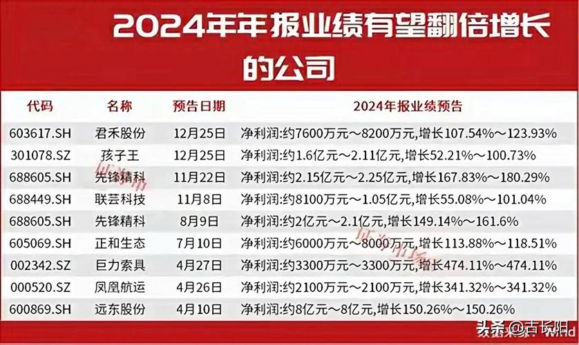 002116股票_2025年一季报业绩解读_2024年公司年报分析