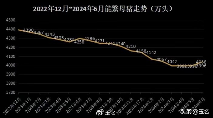 猪肉股周期波段节奏_猪肉股博弈资金节奏_股票 猪肉