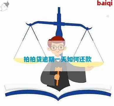 拍拍贷逾期欠款怎么还