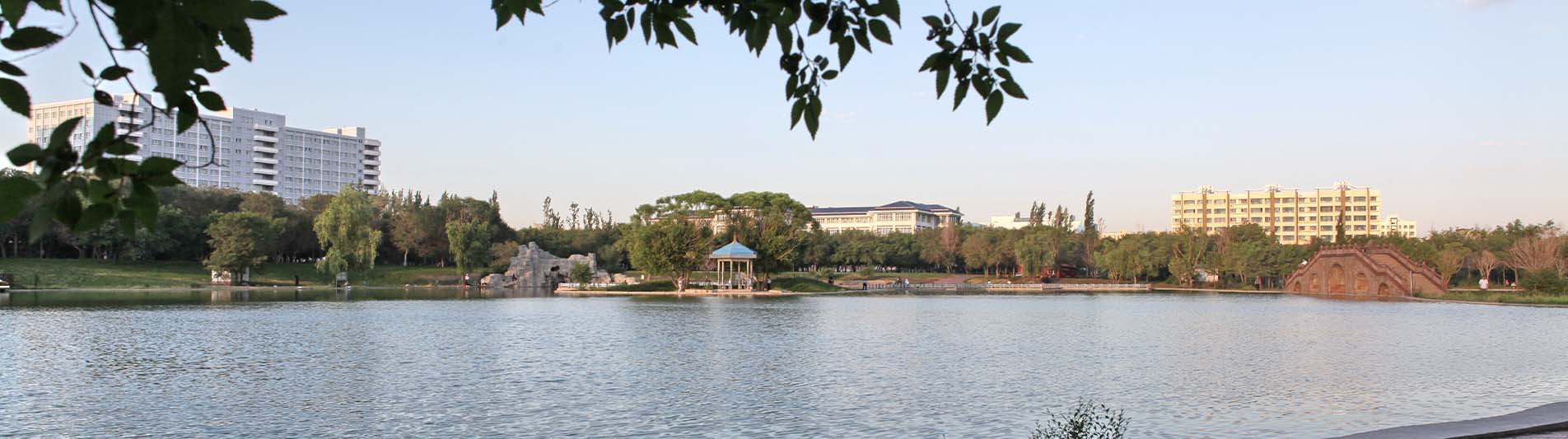 2025新疆财经大学_新疆财经大学招生人数_新疆财经大学学费