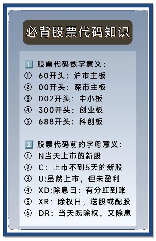 中小板与创业板的代码_创业板股票代码查询_创业板股票代码开头300