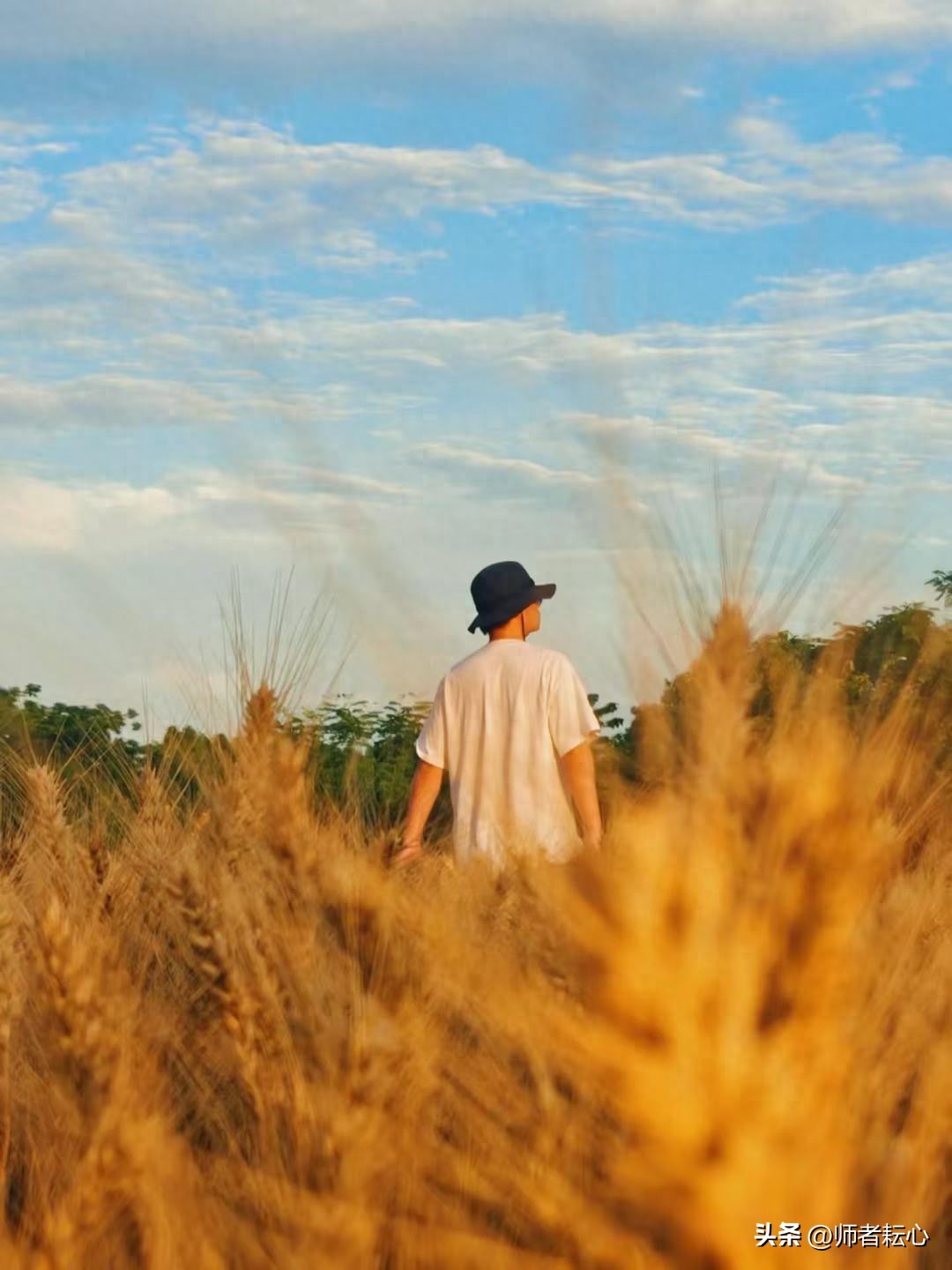 农村小学生写作困境_直播教学创新方法_学生在家基本情况应该怎么写