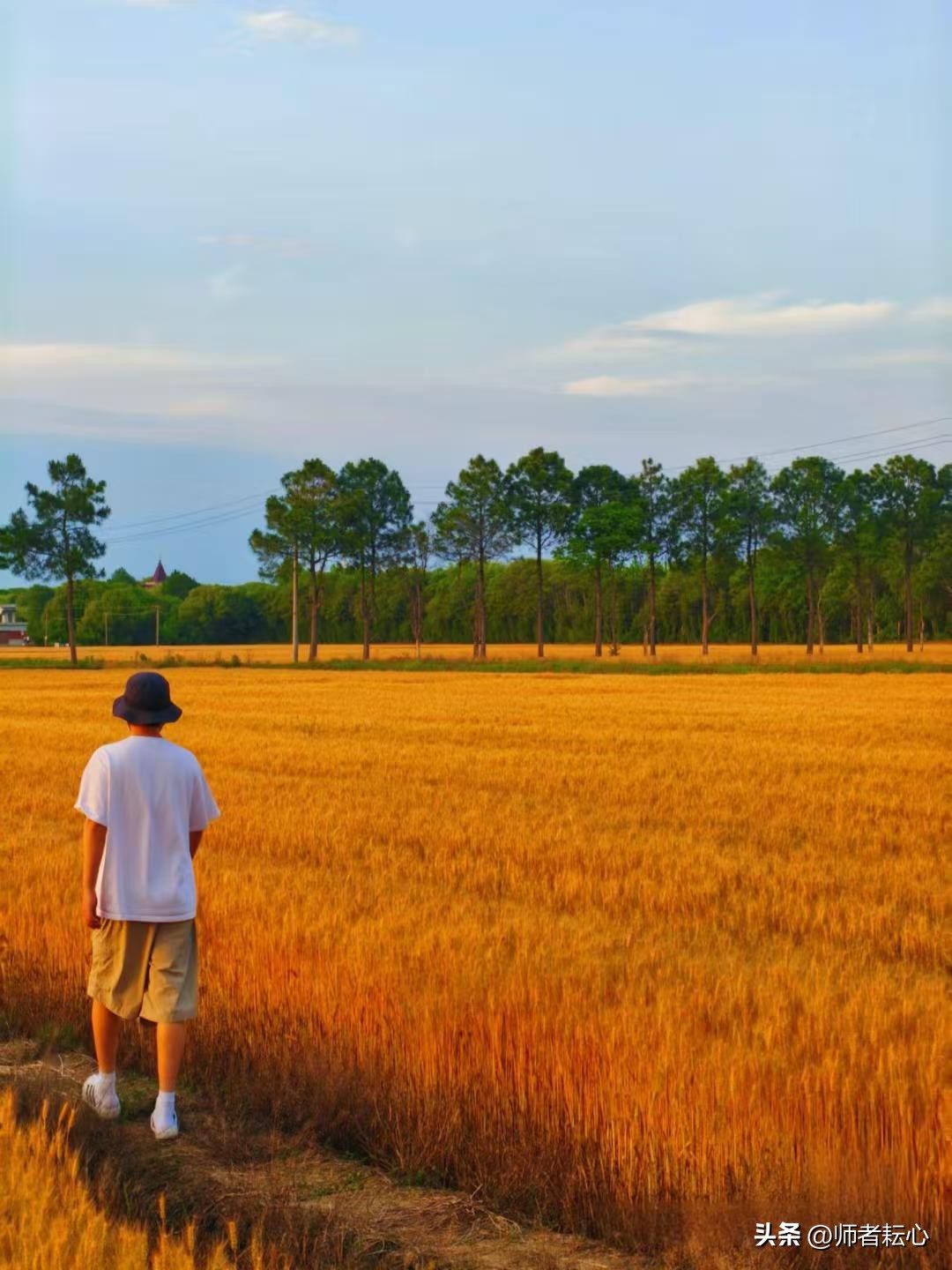 直播教学创新方法_农村小学生写作困境_学生在家基本情况应该怎么写