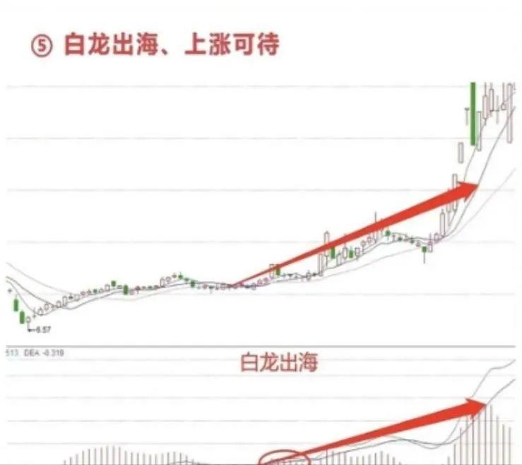 老股民炒股养家心得 _股票开市卖出_