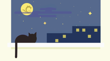 高考后情绪回忆_高考后和男朋友睡了_高考结束的夜晚