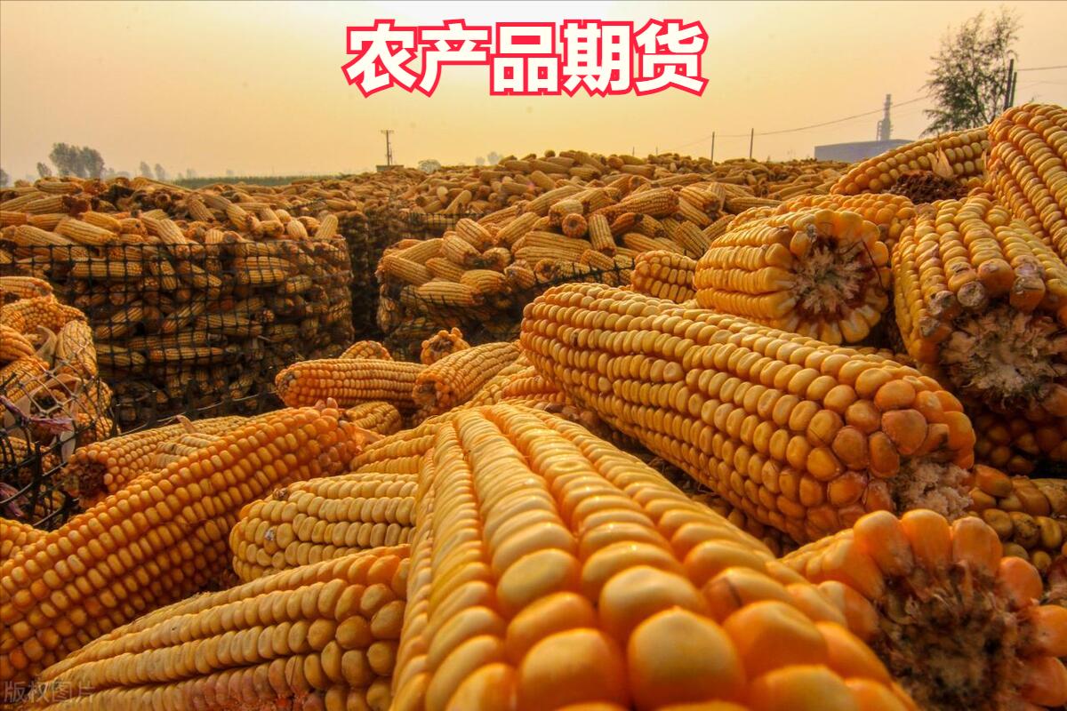 期货交易模式_期货市场风险管理_股票期货外汇的区别