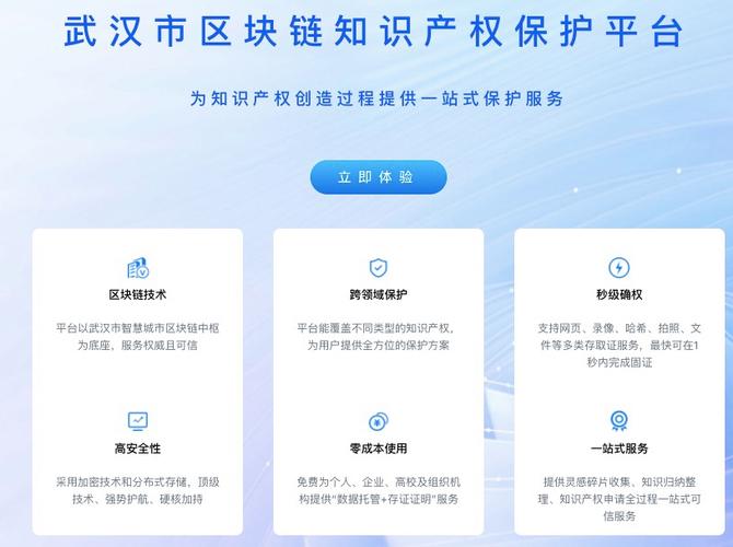 武汉知识产权存证_区块链知识产权保护平台_电子取证工具
