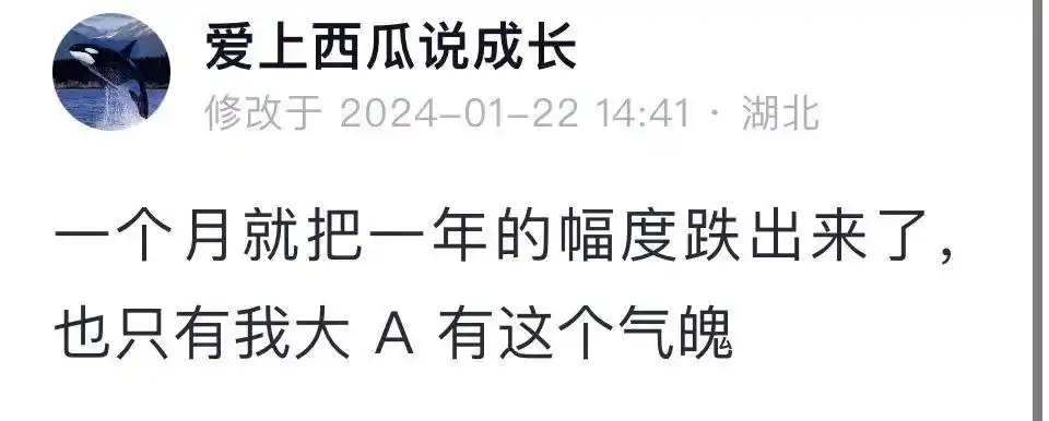 A股市场止跌分析_股票什么叫跳水_2024年高股息概念投资
