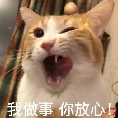 捕捉新机会_科技牛市结束吗_什么是牛市股票