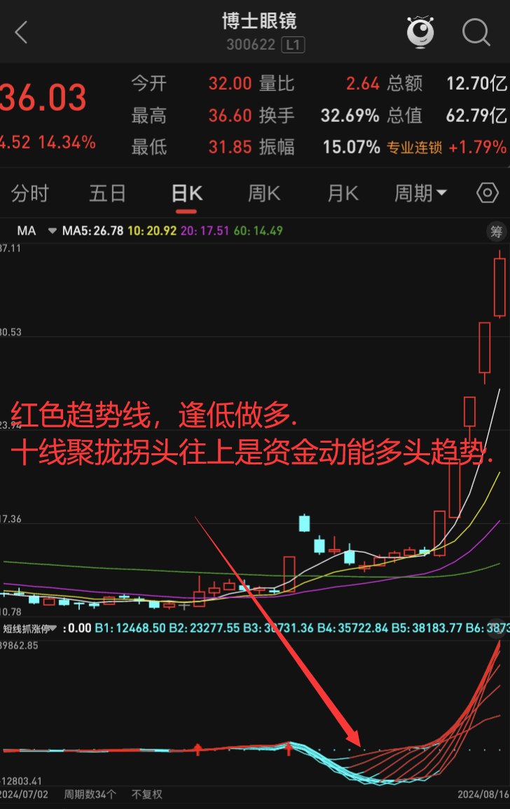 炒股入门基础知识_新手学炒股基础知识_学股票专业