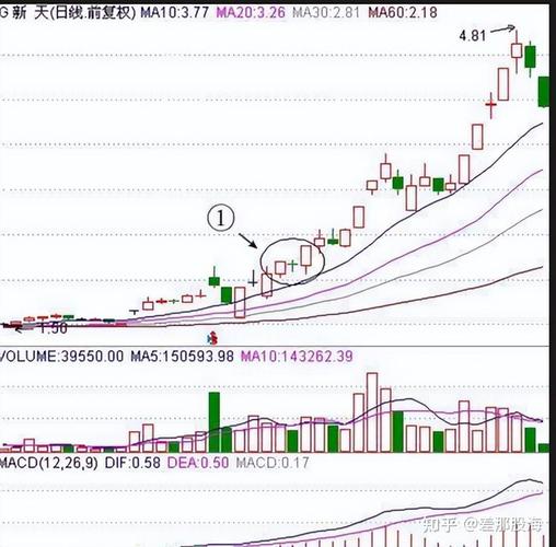 高股息低位蓝筹股选股策略_10万元股票买卖手续费是多少_10万本金股市投资