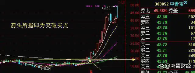 放量下跌说明什么_放量后连续缩量下跌_建立投资系统