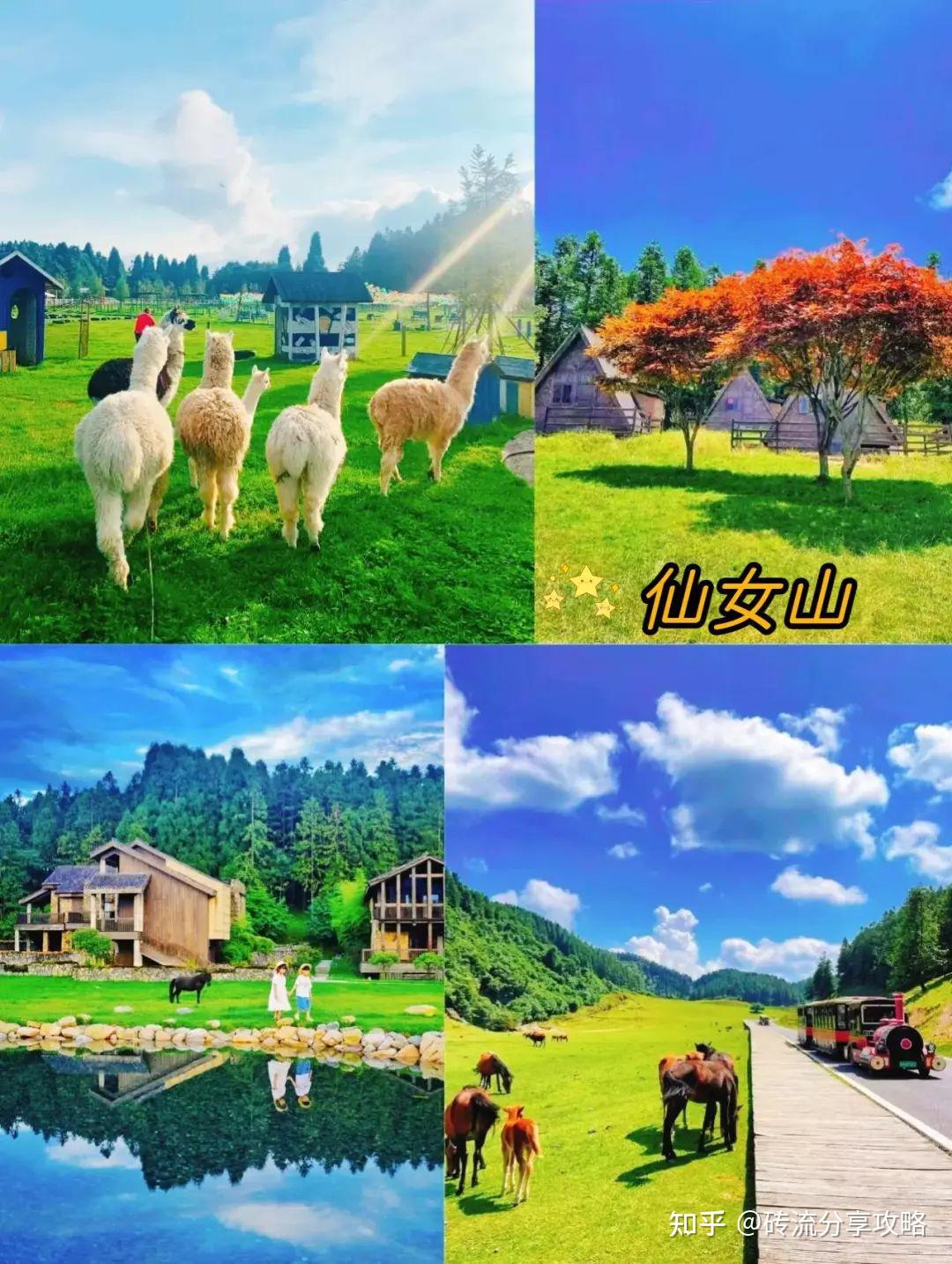 重庆旅游攻略_重庆天然气公司有哪些_重庆美食探索