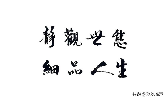 参加老经感想感悟该怎么说_普通人的生活迷茫焦虑压力_人生某个节点回头看