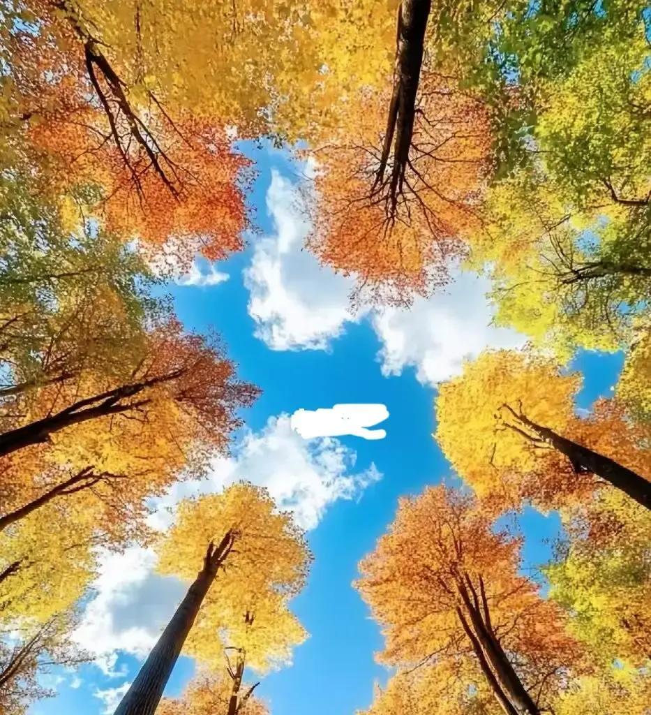 参加老经感想感悟该怎么说_七十岁生活感悟_七十岁老年人状态