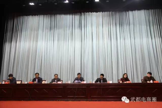 阿里巴巴武都电商扶贫_阿里巴巴有没有农民贷款_互联网+农村金融武都