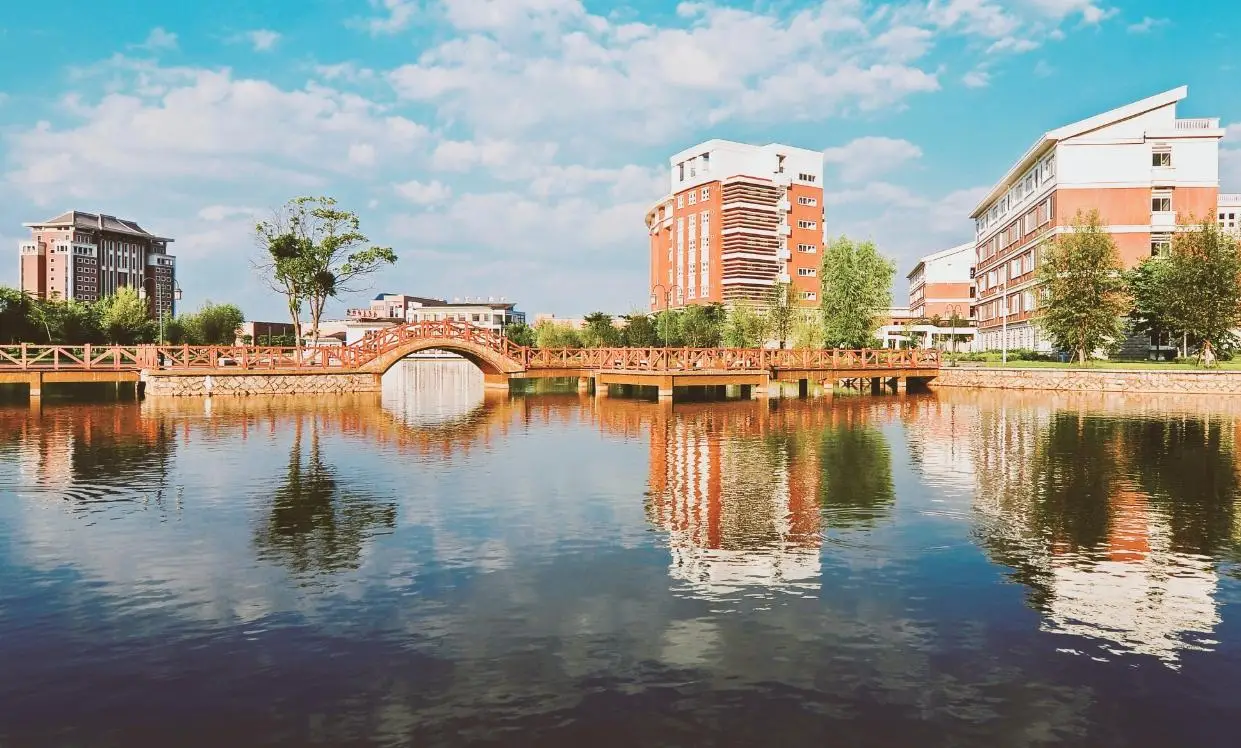 双非大学实力_双非大学排名_福建 为什么没财经大学